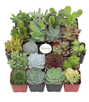 Screen Shot 2018-07-23 at 5.36.50 AM.png